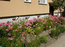 Zakończył się konkurs na „Na najpiękniej ukwiecony balkon”