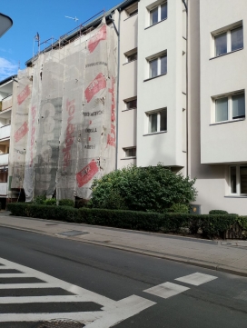 Czysta 6