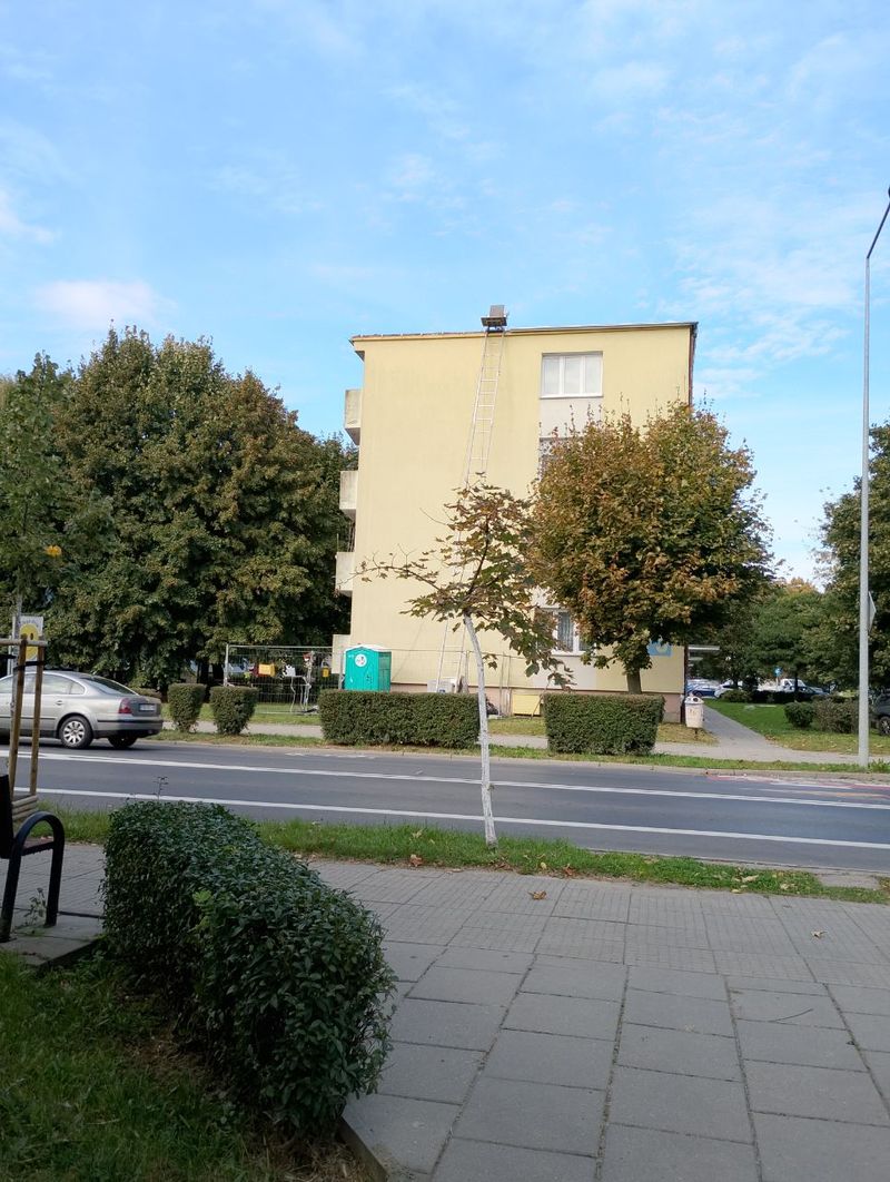 Roosevelta 75